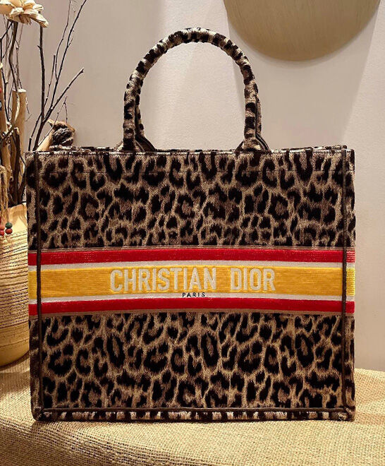 Christian Dior Book Tote Velvet Mizza Embroidery Coffee